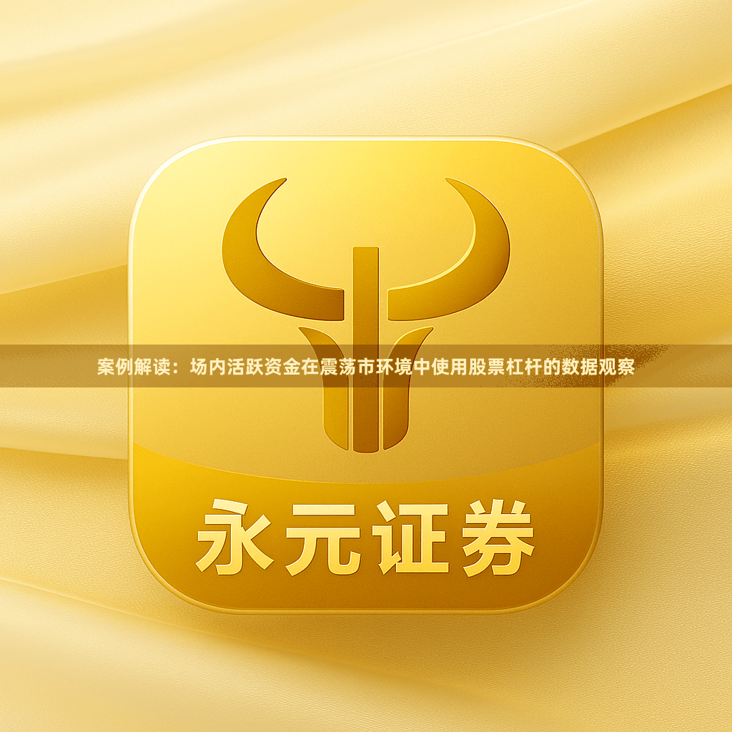 案例解读：场内活跃资金在震荡市环境中使用股票杠杆的数据观察